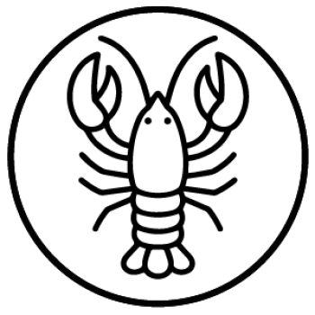 Mesa de trabajo 1 copia 61