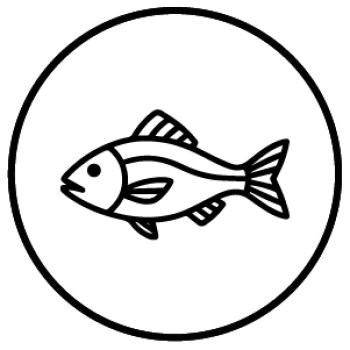 Mesa de trabajo 1 copia 65