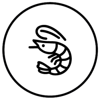 Mesa de trabajo 1 copia 66