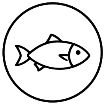 Mesa de trabajo 1 copia 67