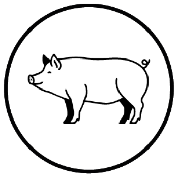 Mesa de trabajo 1 copia 77