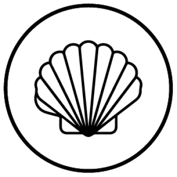 Mesa de trabajo 1 copia 79