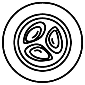 Mesa de trabajo 1 copia 86