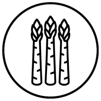 Mesa de trabajo 1 copia 92