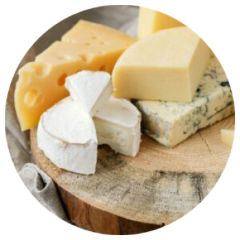 quesos-lacteos